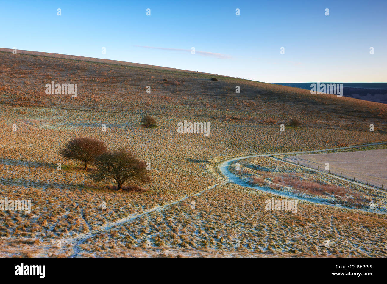 Sussex winter frost hi-res stock photography and images - Alamy