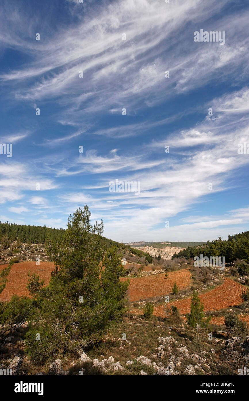 Israel, Jerusalem Mountains. Scenery at Begin Park Stock Photo