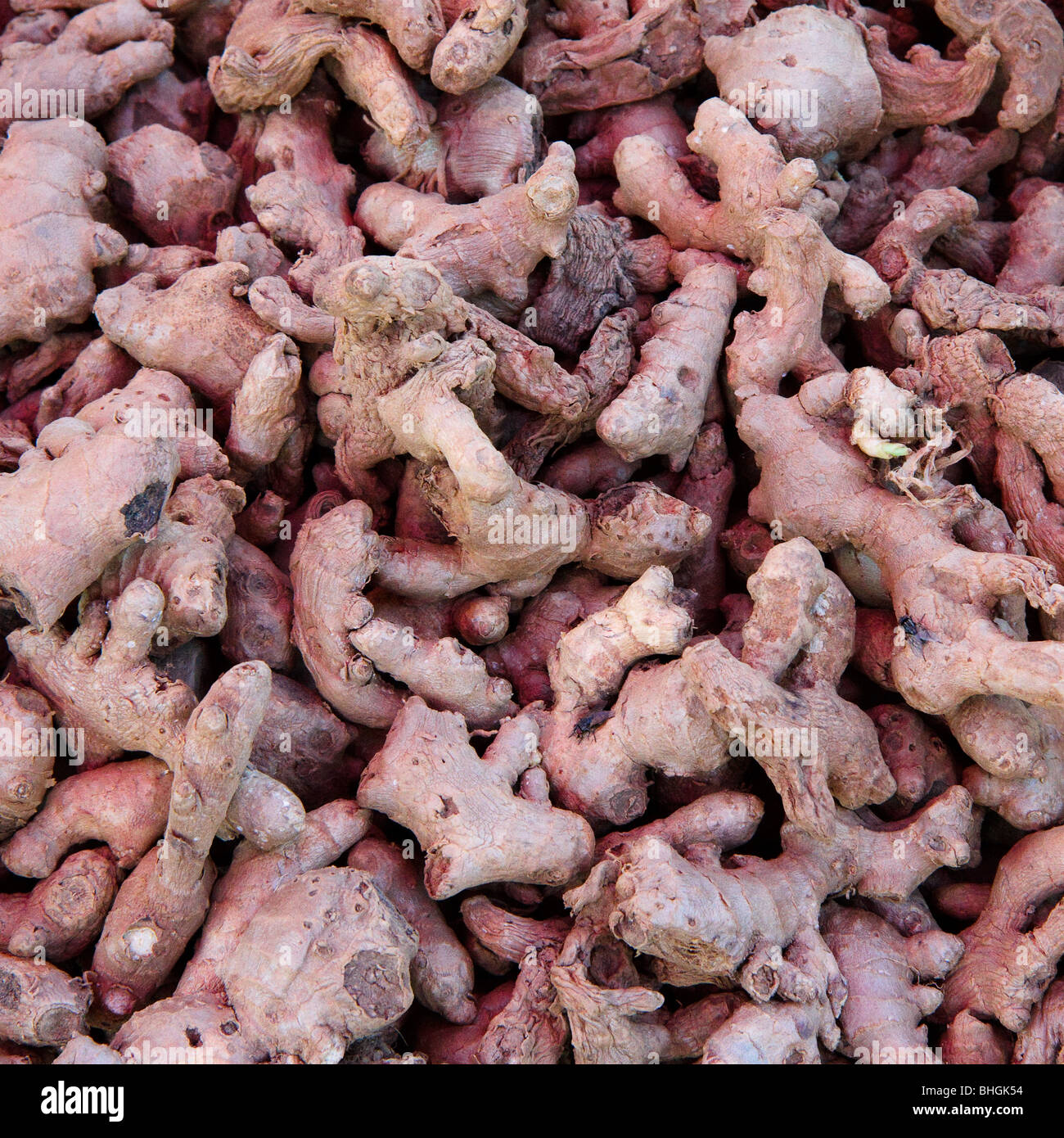 Ginger roots Stock Photo