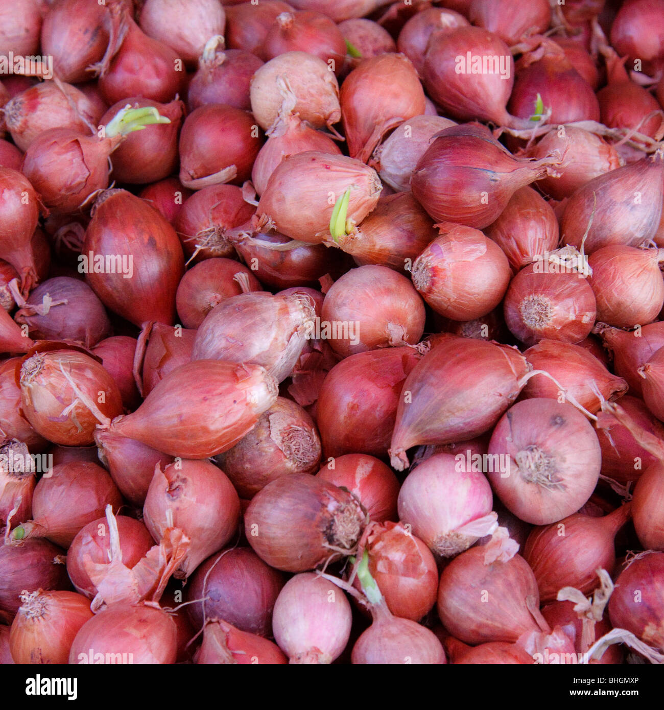 Bag red onions hi-res stock photography and images - Alamy