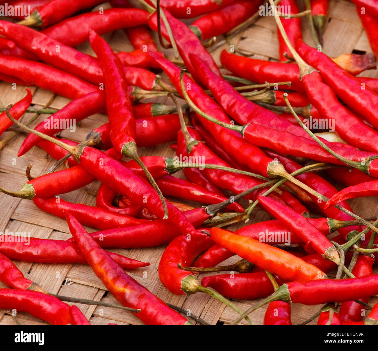 Red chillies market hi-res stock photography and images - Alamy