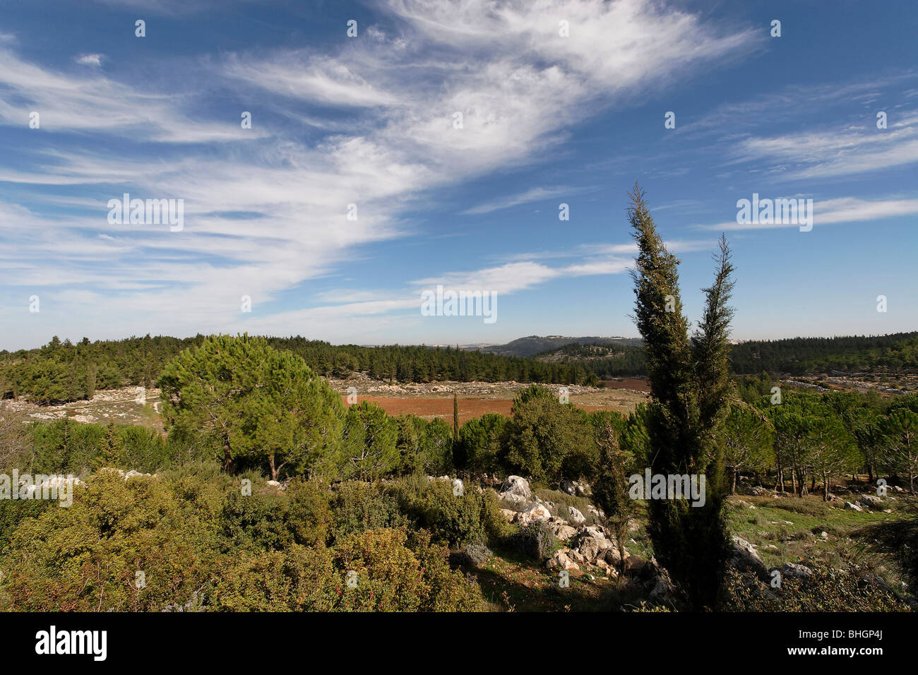 Israel, Jerusalem Mountains. Scenery at Begin Park Stock Photo