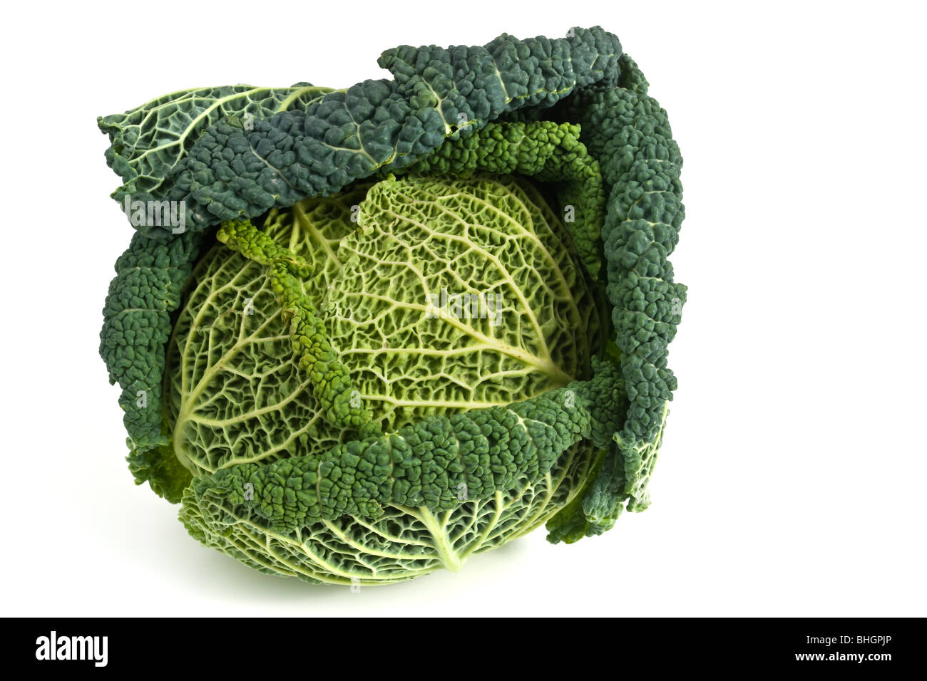 Whole green Savoy cabbage Stock Photo