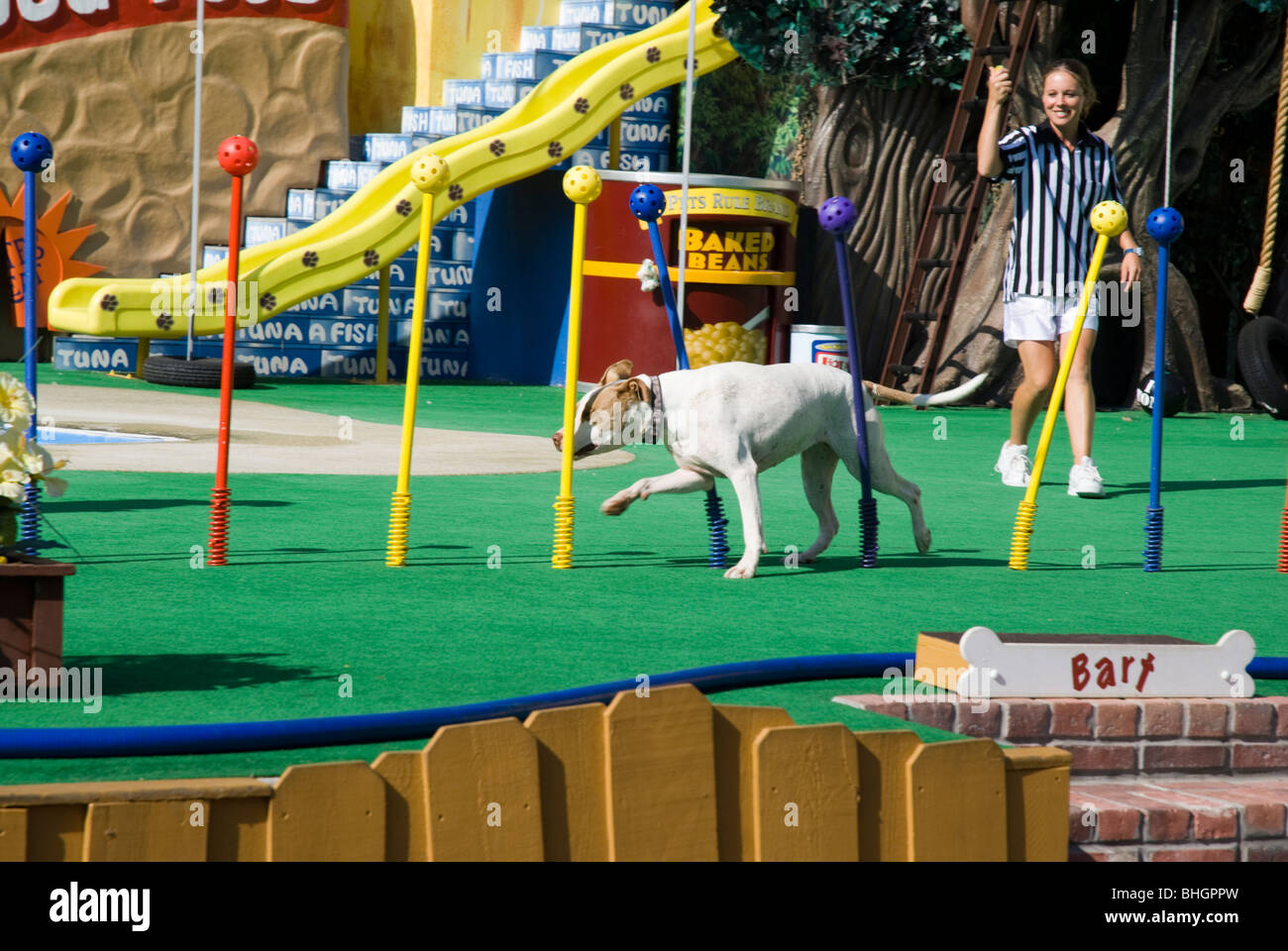 Trained wild animal shows hires stock photography and images Alamy