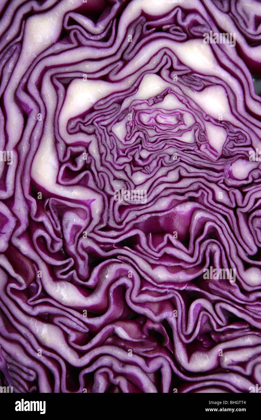 Cabbage abstract hi-res stock photography and images - Alamy
