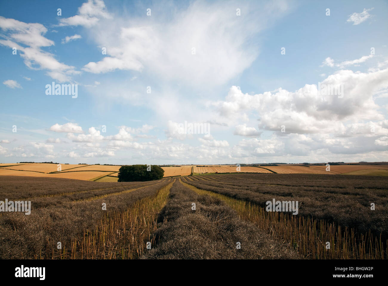 Louth, Lincolnshire, wolds, vast space landscapes. Farm arable land