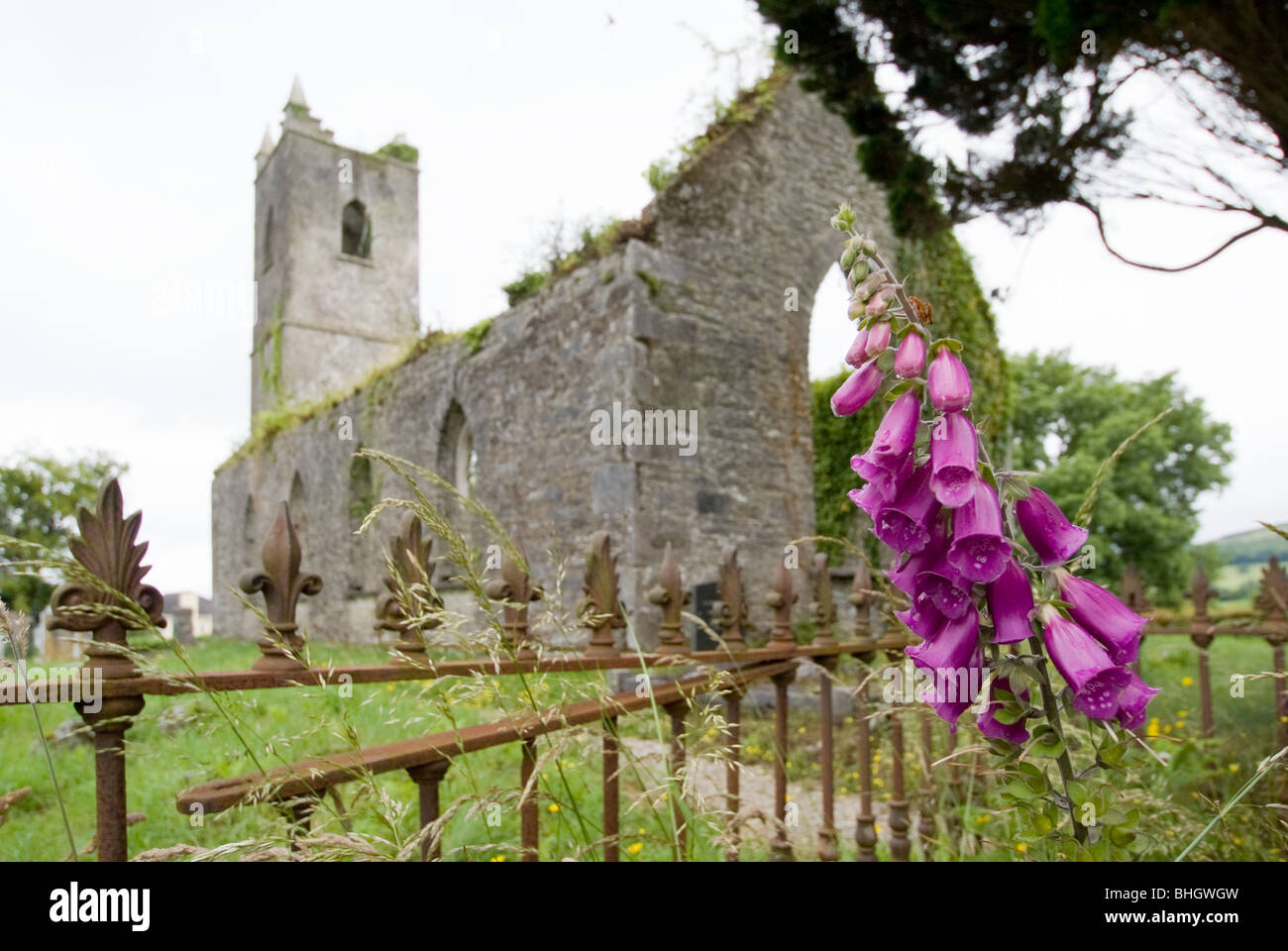 Derelict old parish church killowen hires stock photography and images