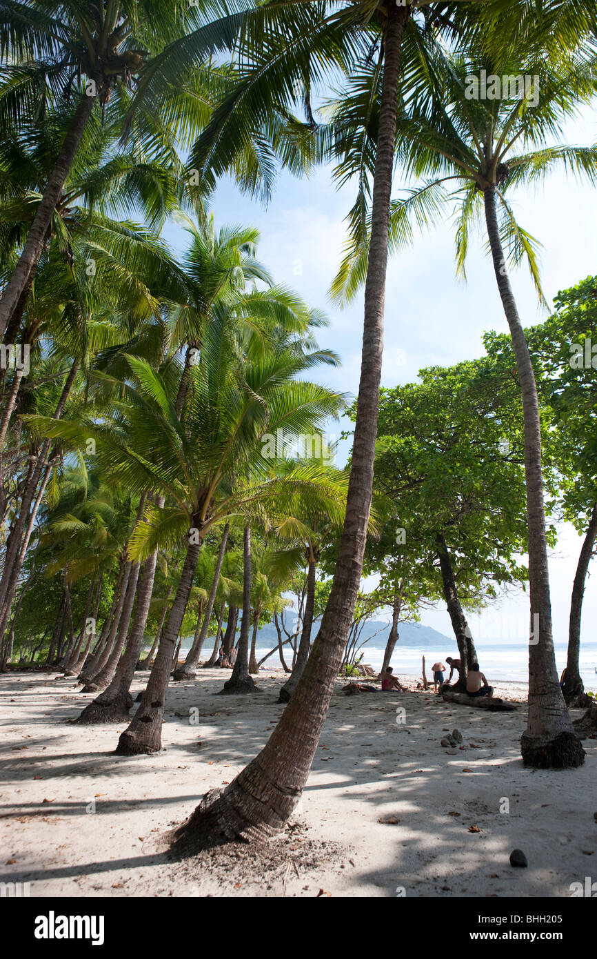 Playa Teresa, Puntarenas, Costa Rica Stock Photo - Alamy