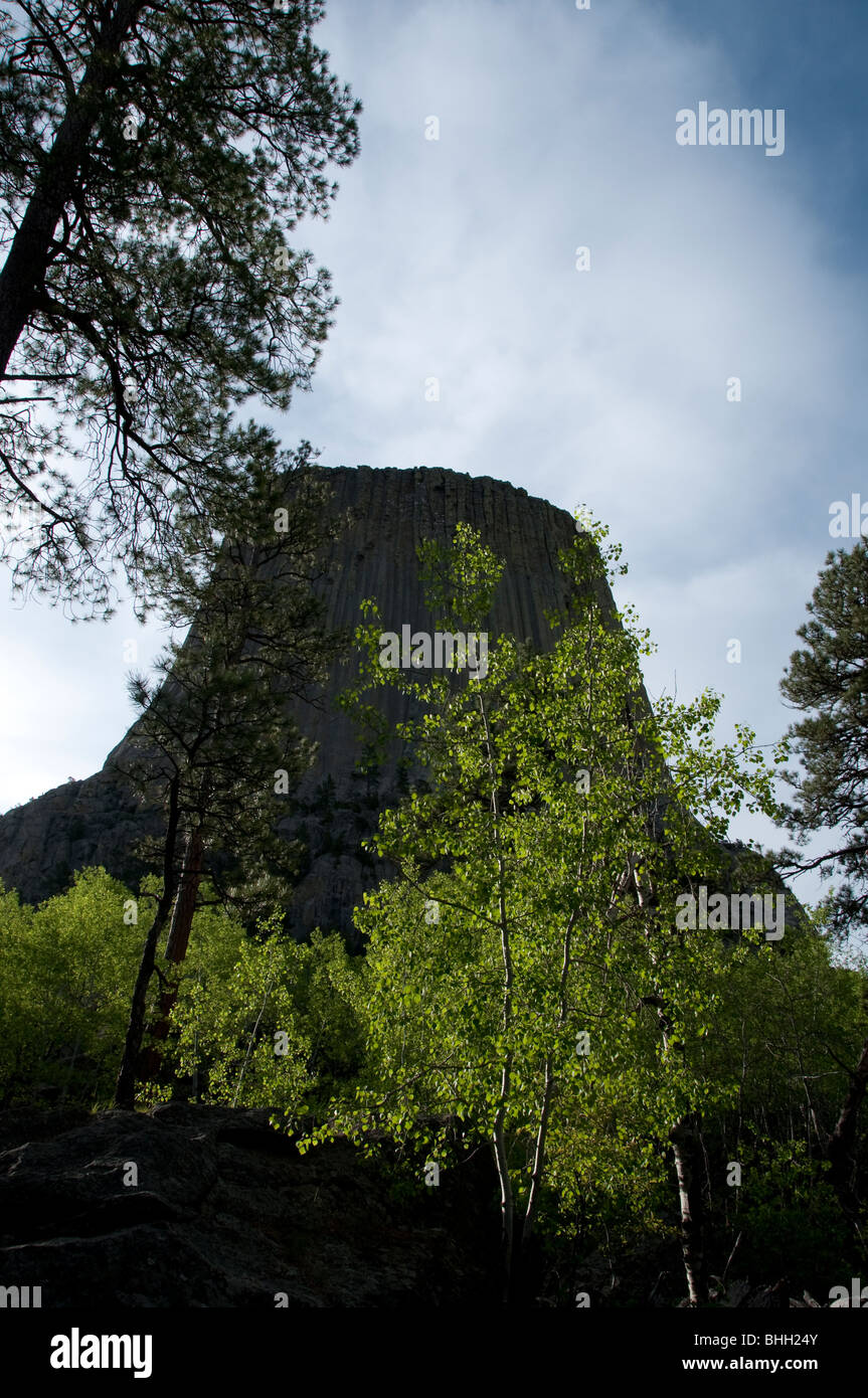 Sweeping wide angle of Devils tower with early spring trees in high green foliage in foreground Stock Photo