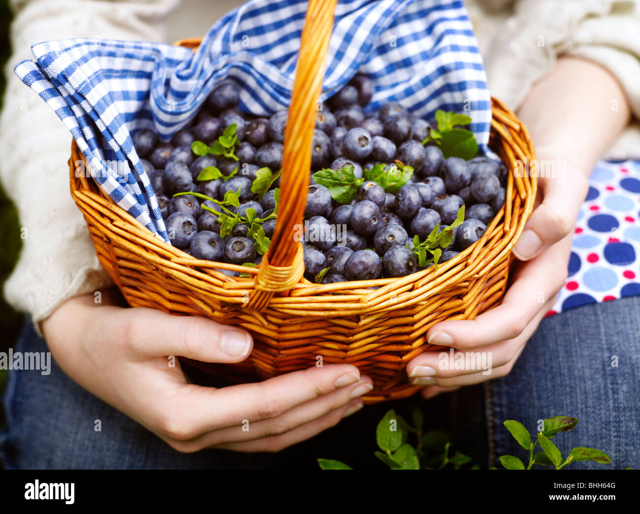 A basket of blueberries, Sweden Stock Photo - Alamy