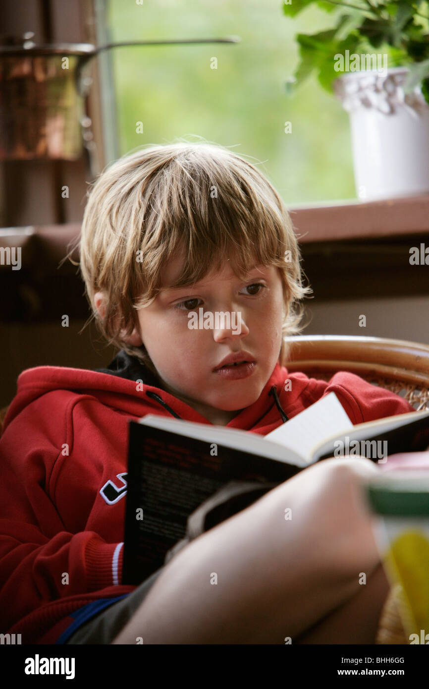 Boy reading a book, Sweden. Stock Photo