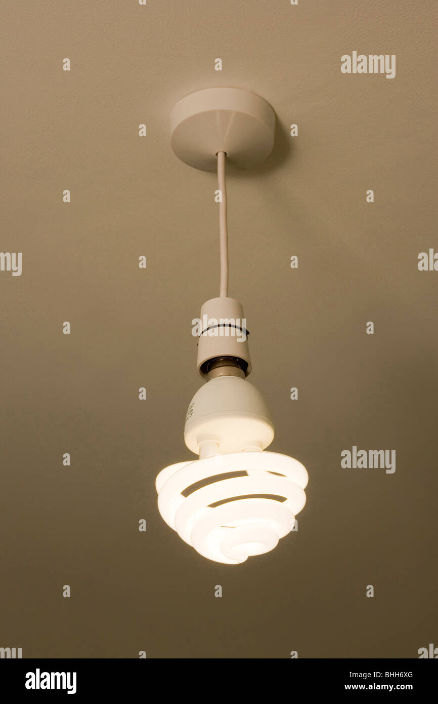 energy saving low wattage fluorescent light bulb Stock Photo Alamy