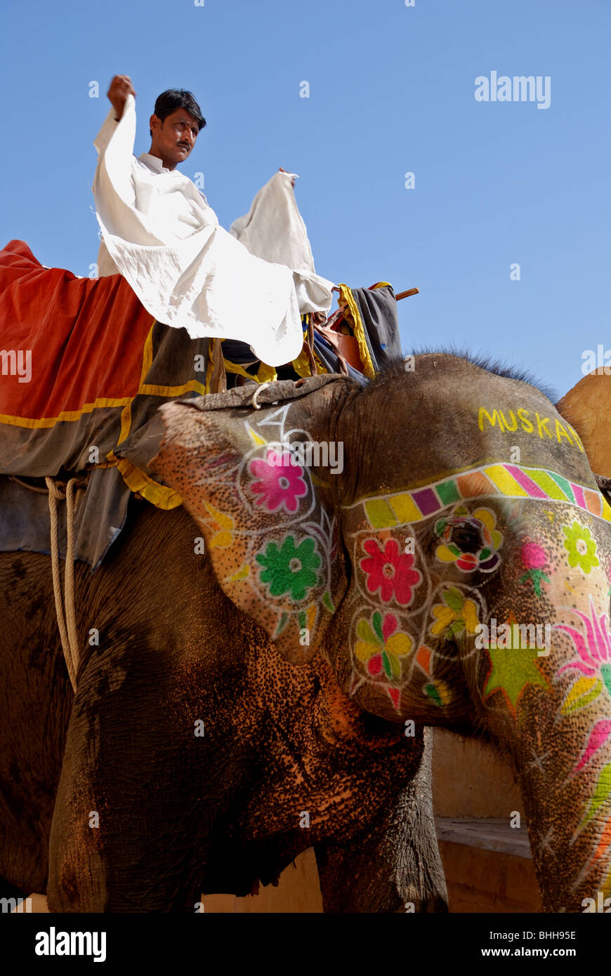 Decorated Elephant And Rider At Amber Palace In Jaipur India Stock Photo Alamy