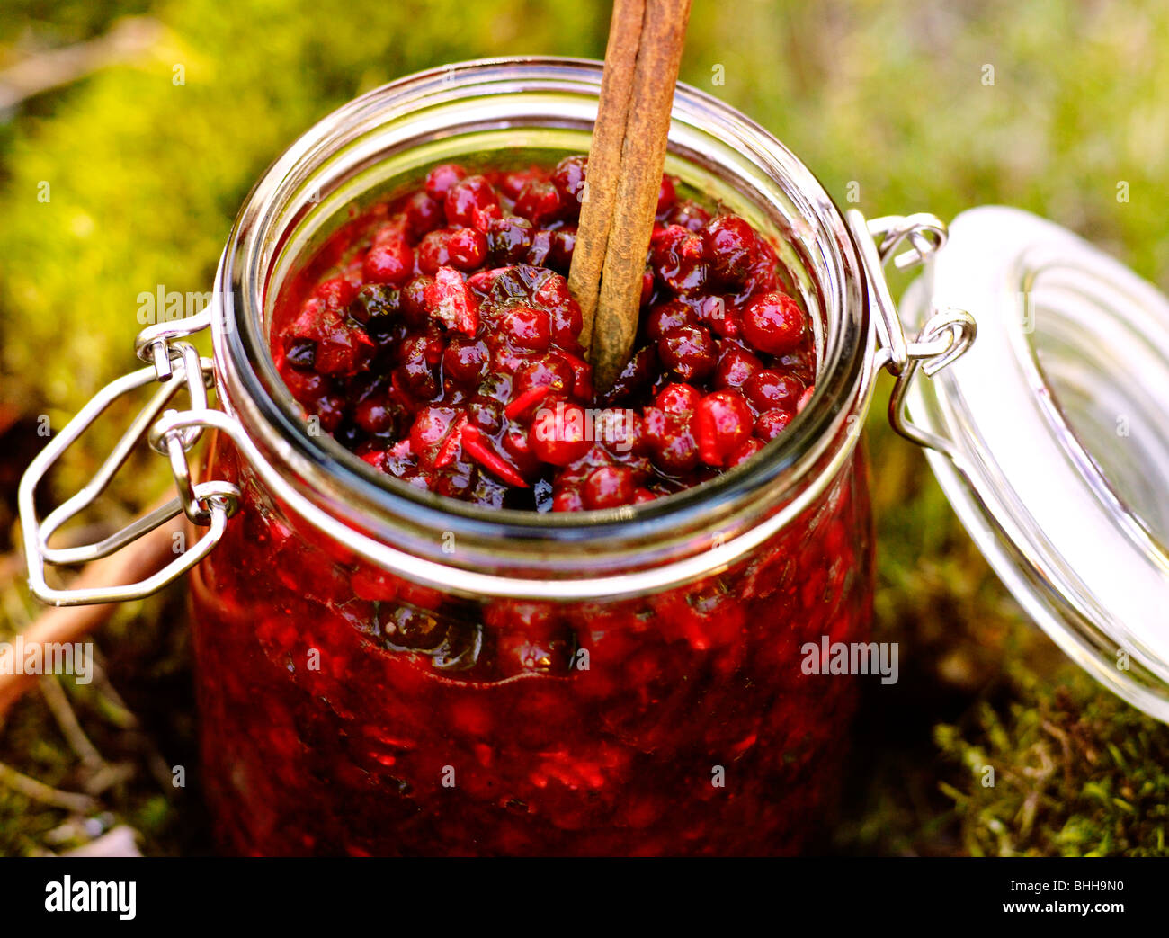 A jar of lingonberry jam, Sweden Stock Photo: 28040348 - Alamy