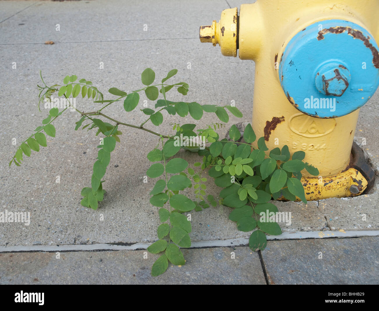 Stubborn grass stock image. Image of grey, cargo, perspective - 9621555