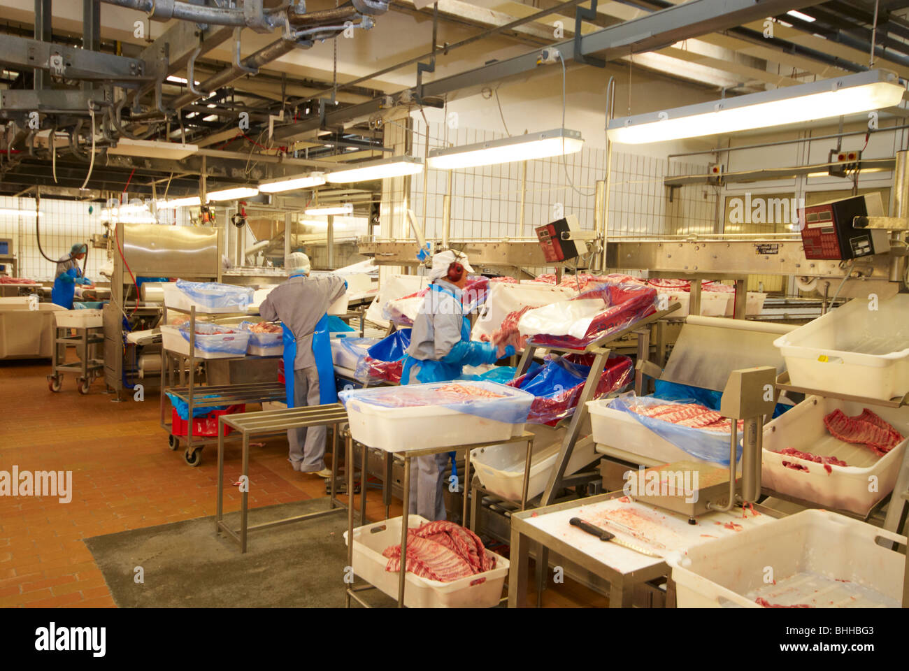 Meat processing plant hires stock photography and images Alamy