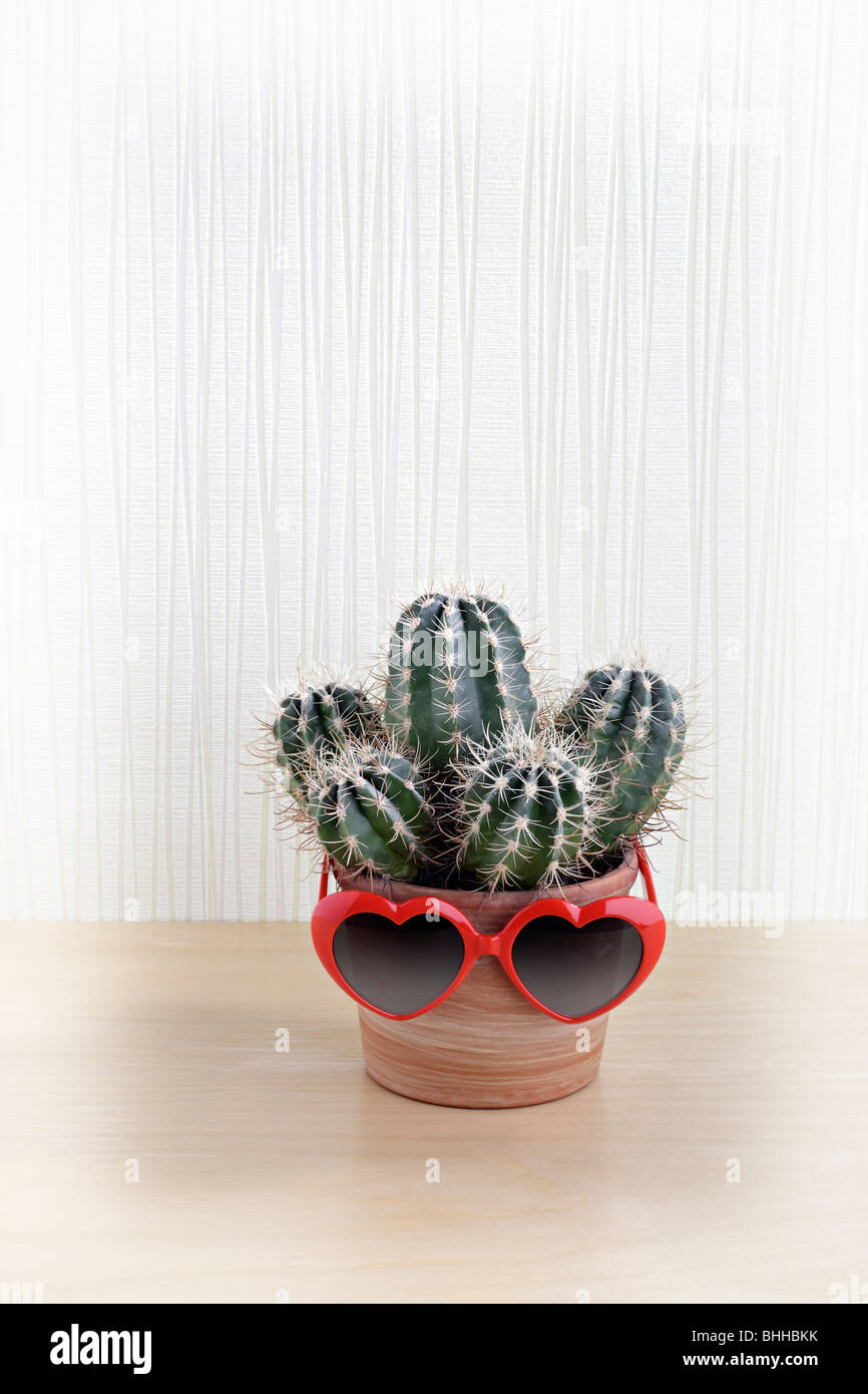Kaktus mit herzfoermiger Sonnenbrille Stock Photo