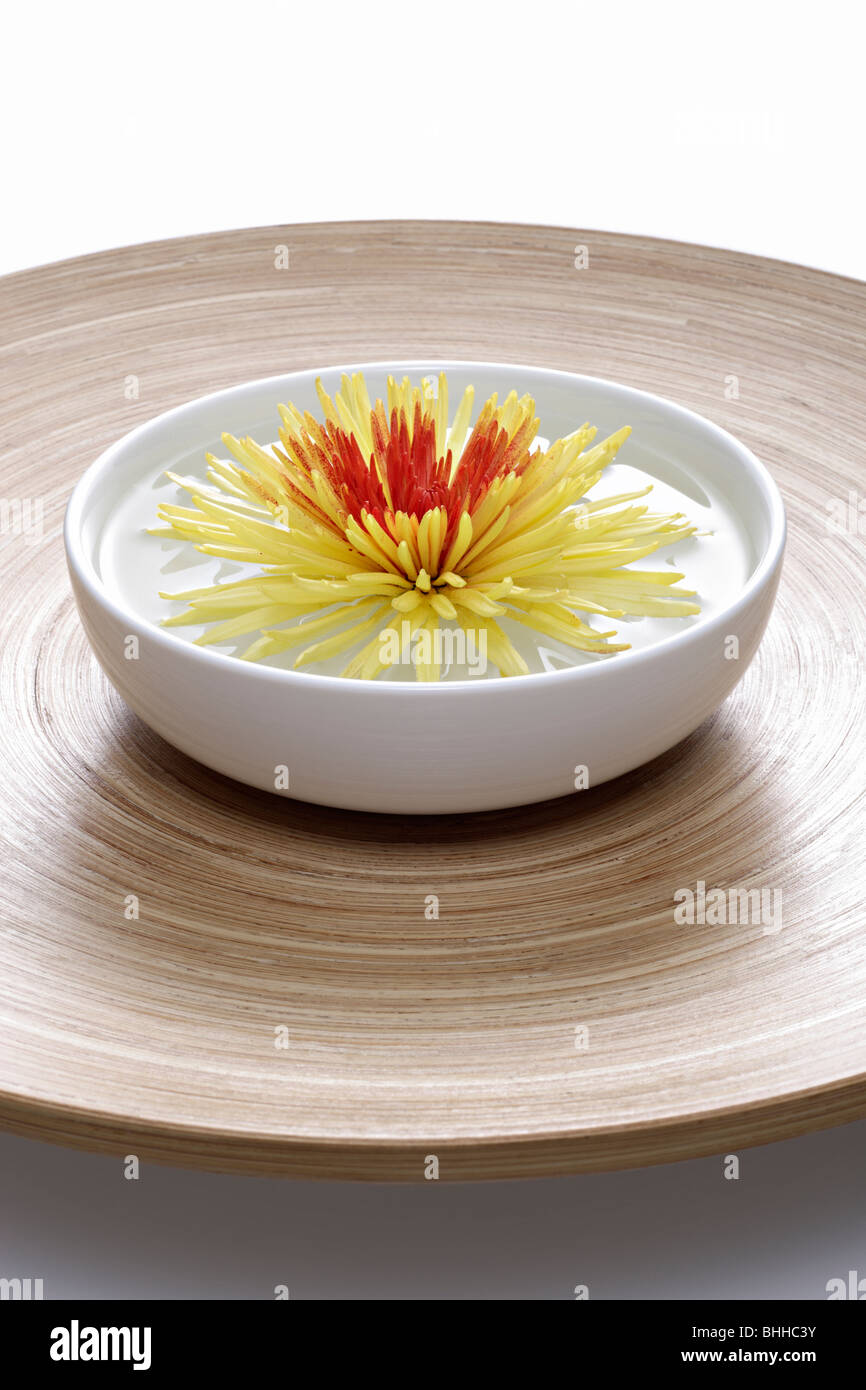 Holzschale und Porzellanschale mit Chrysantheme Stock Photo