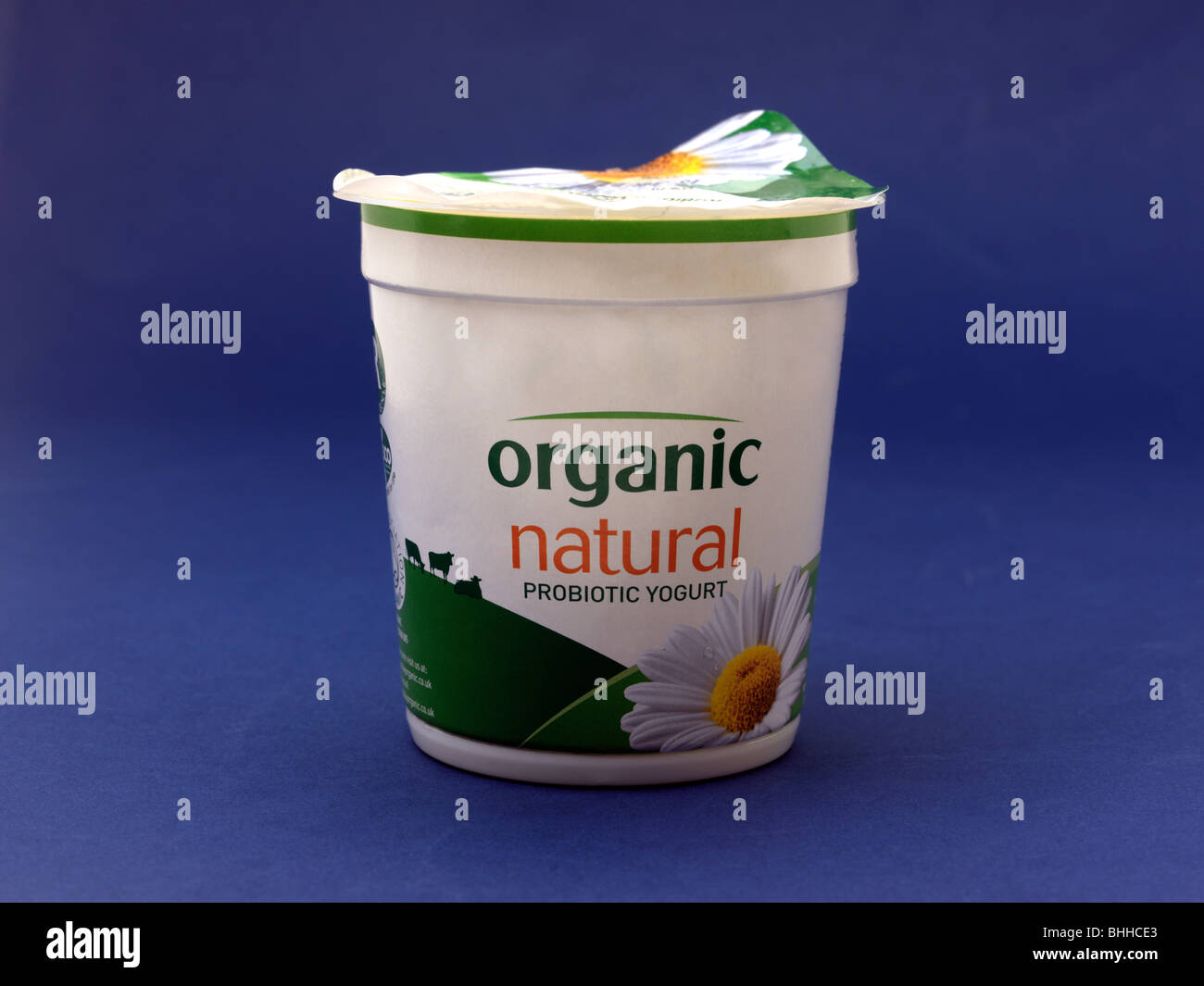 Good Bacteria In Yogurt
