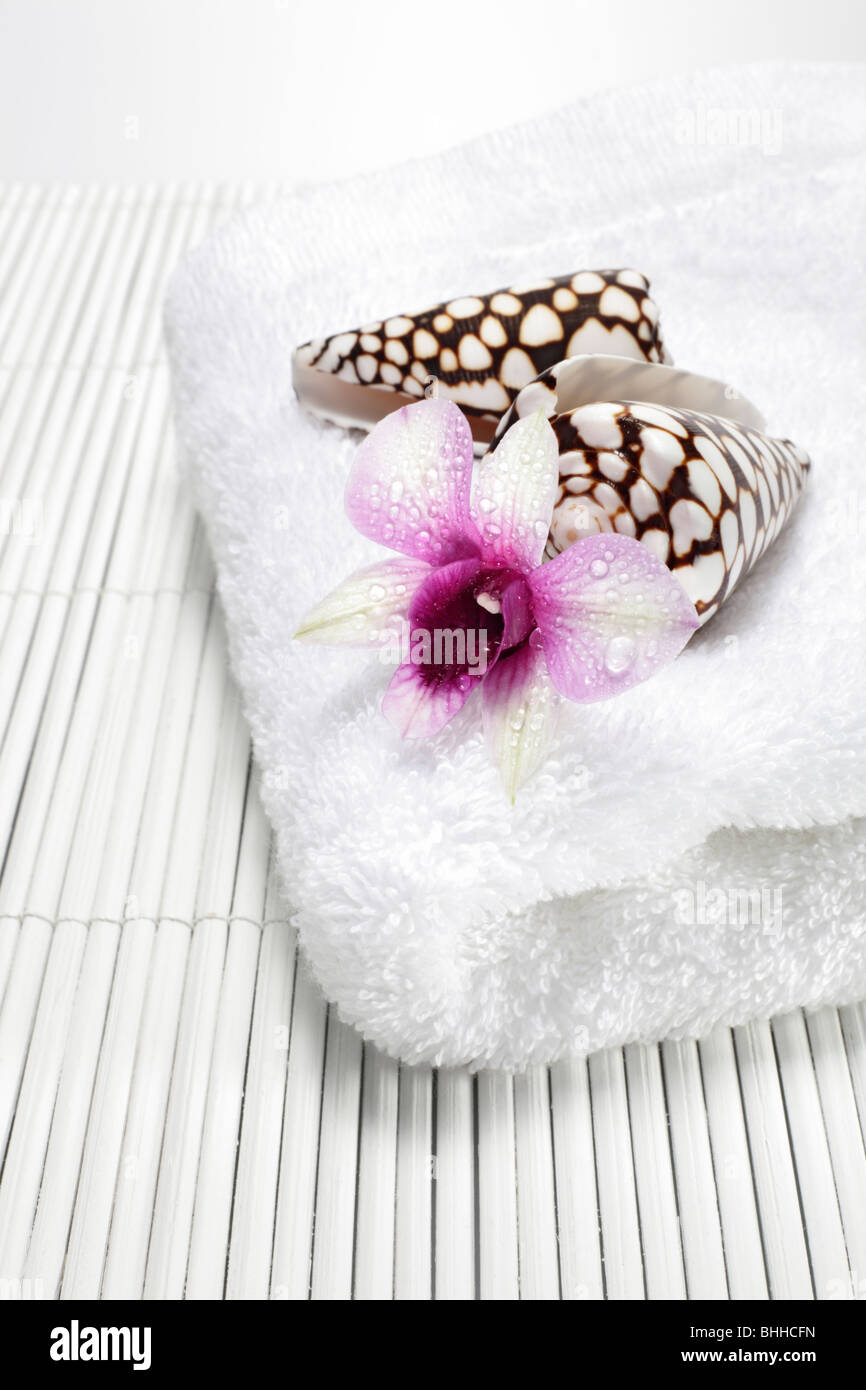 Handtuch mit Orchidee und Muschel Stock Photo