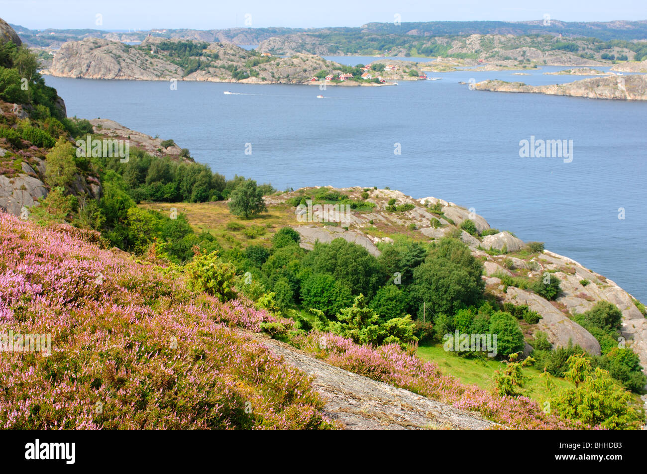 A view over archipelago, Sweden. Stock Photo