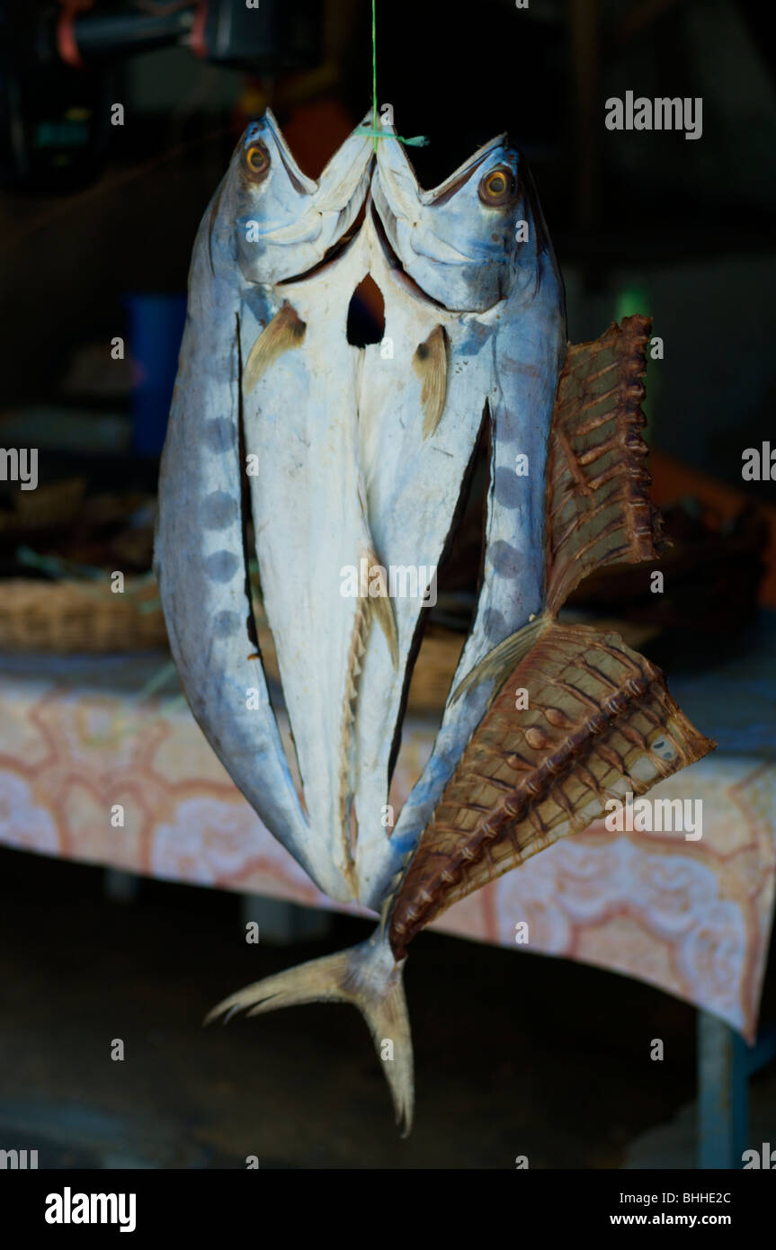 bisected fish drying in a market in thailand Stock Photo