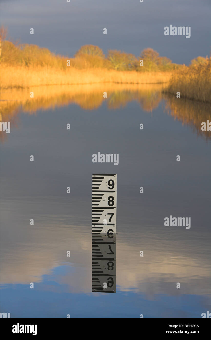 Depth gauge marker in freshwater reedbed at Ham Wall Nature Reserve, Somerset Levels, UK in January. Stock Photo