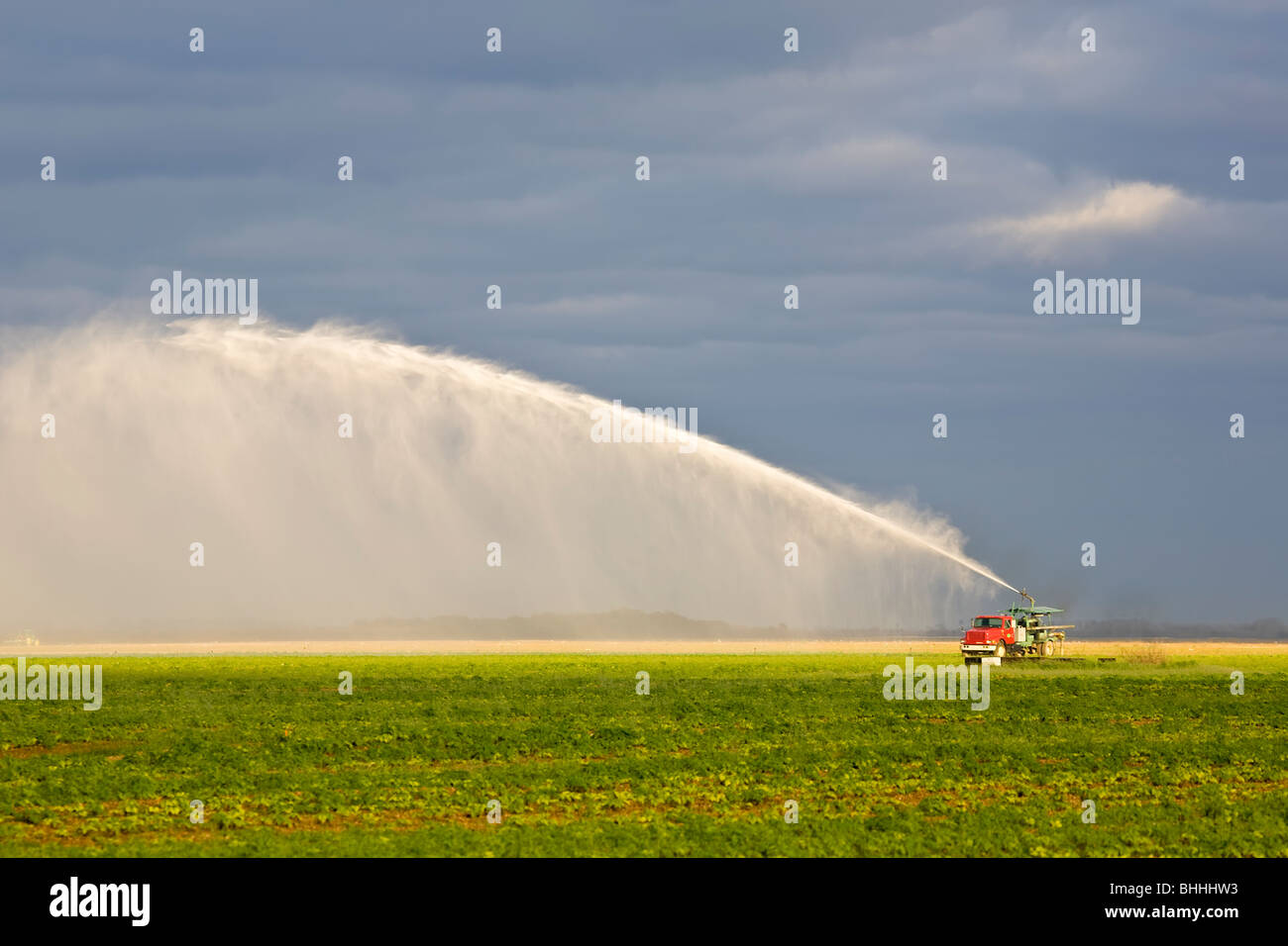 Sprinklers spraying water irrigating farm fields in Homestead Florida Stock Photo