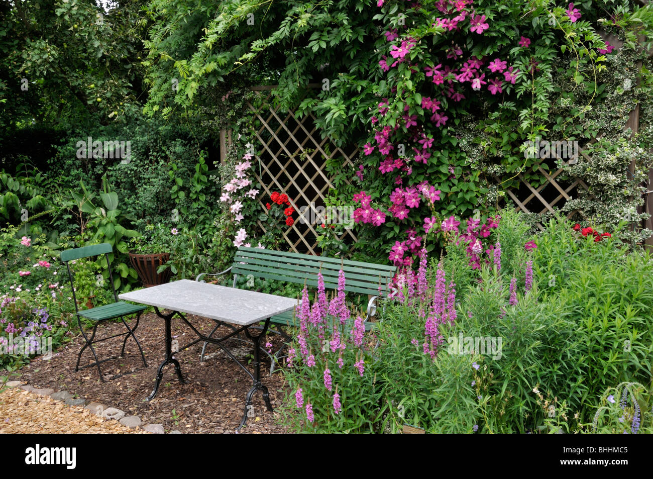 Clematis (Clematis Pink Fantasy and Clematis Ernest Markham) behind a seating area. Design: Marianne and Detlef Lüdke Stock Photo
