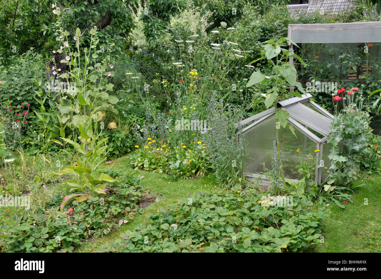 Natural garden with fruit and vegetable beds. Design: Susanna Komischke Stock Photo
