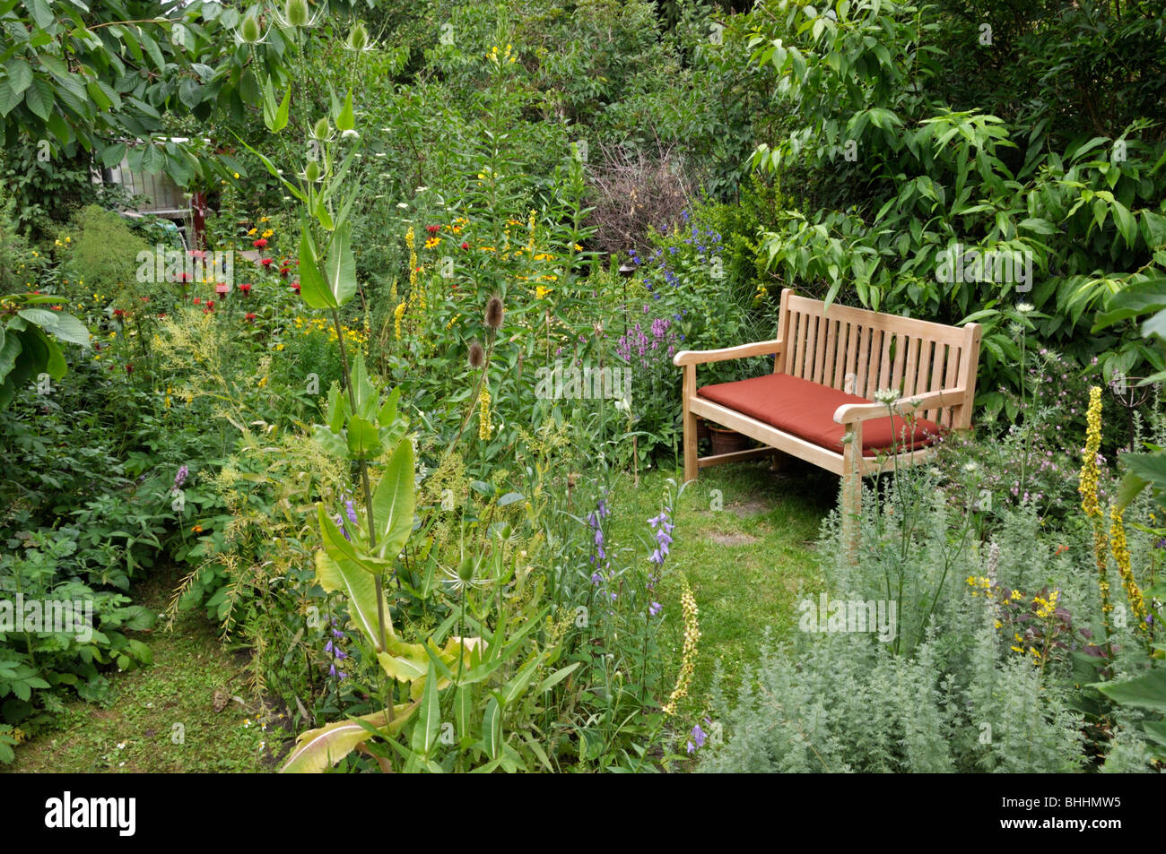 Wooden bench in a natural garden. Design: Susanna Komischke Stock Photo