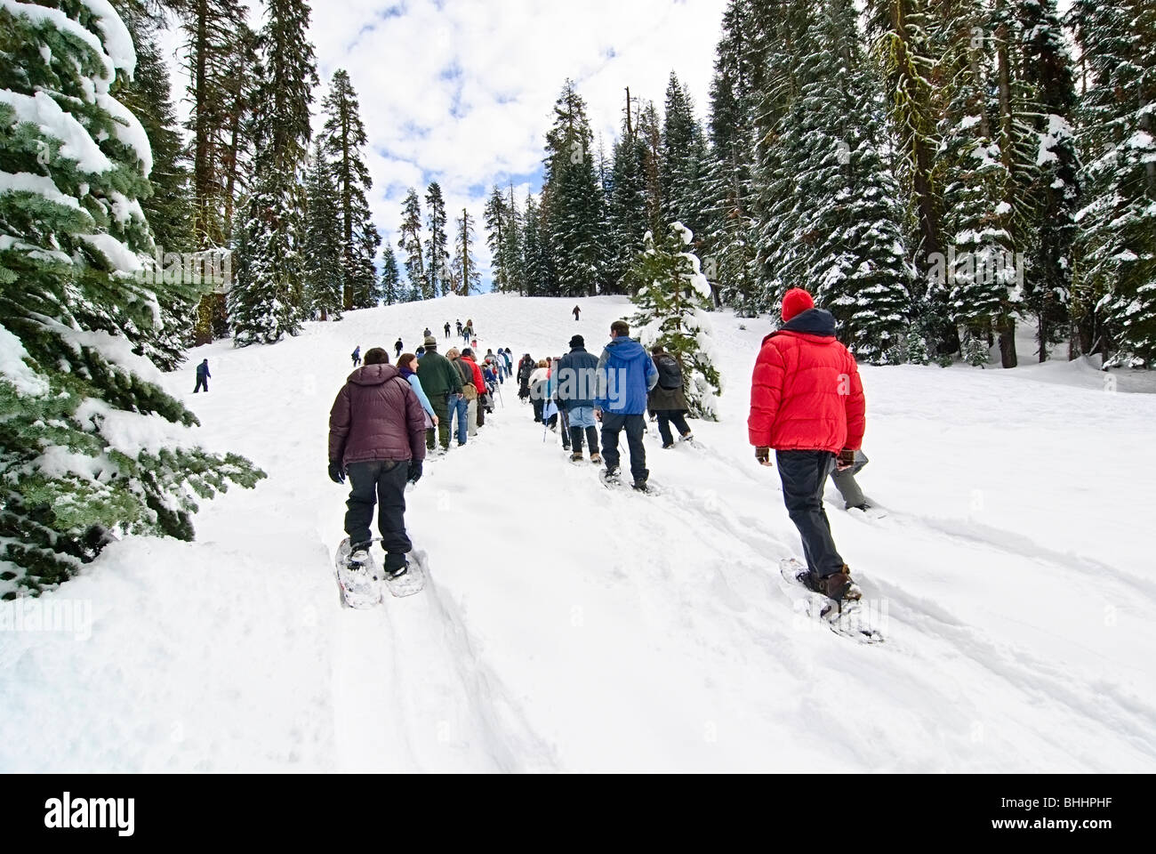 Snowshoeing in the Badger Pass area of Yosemite National Park Stock