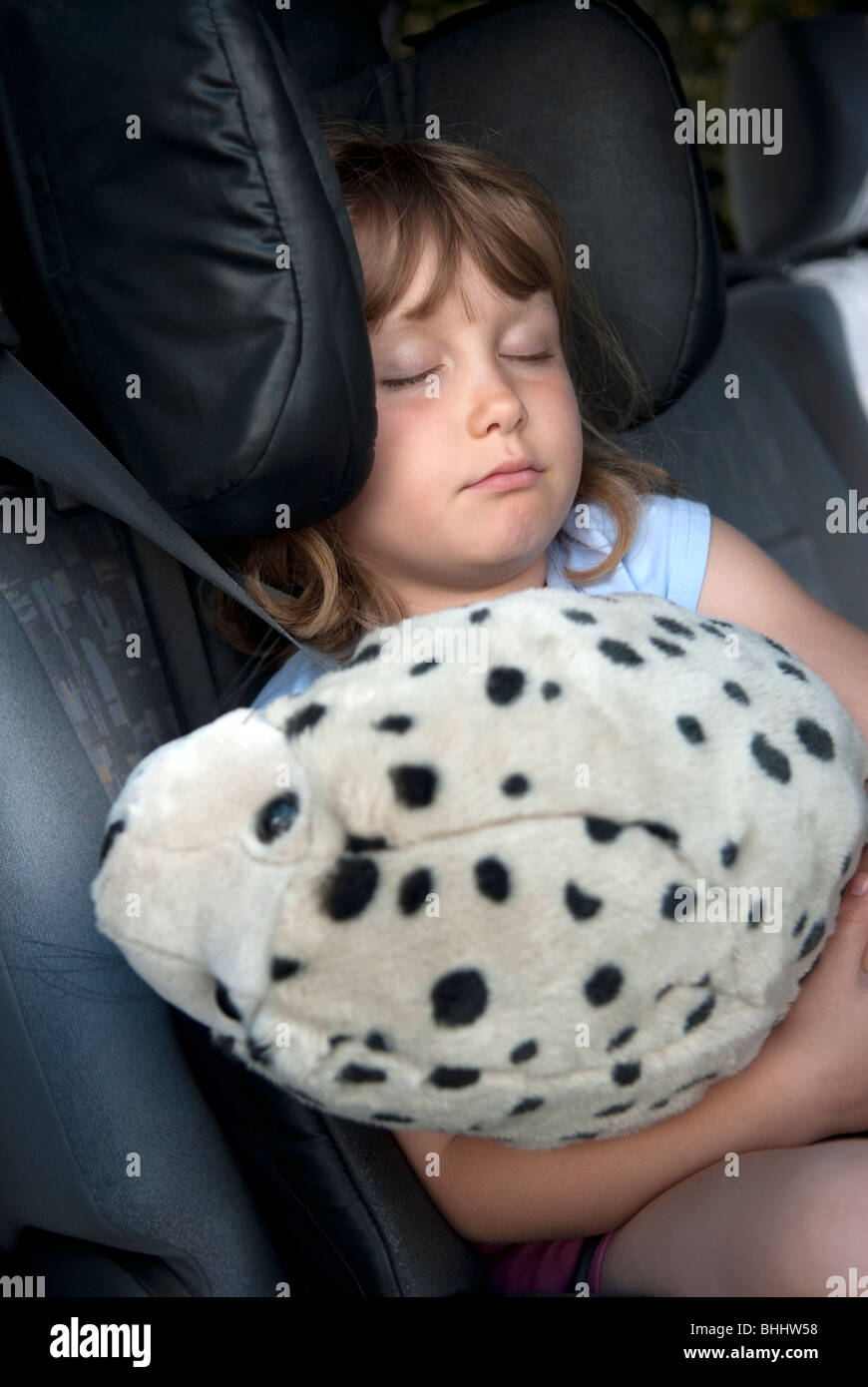 Young girl asleep in car with stuffed spotted dolphin. FULLY MODEL RELEASED Stock Photo