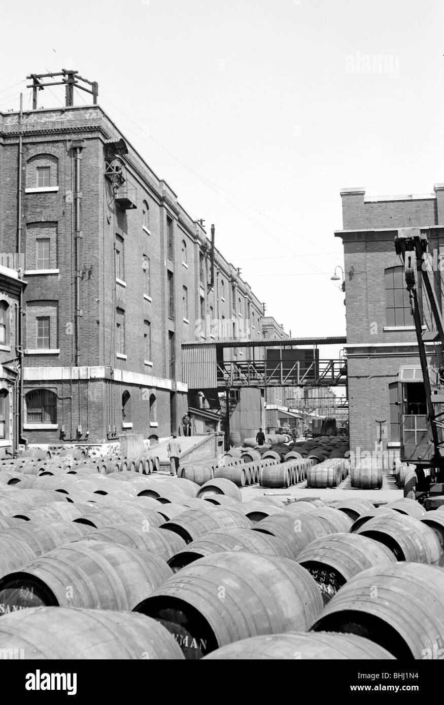 Warehouses at the Wine Gauging Ground, North Quay, London Docks, c1945-c1965. Artist: SW Rawlings Stock Photo
