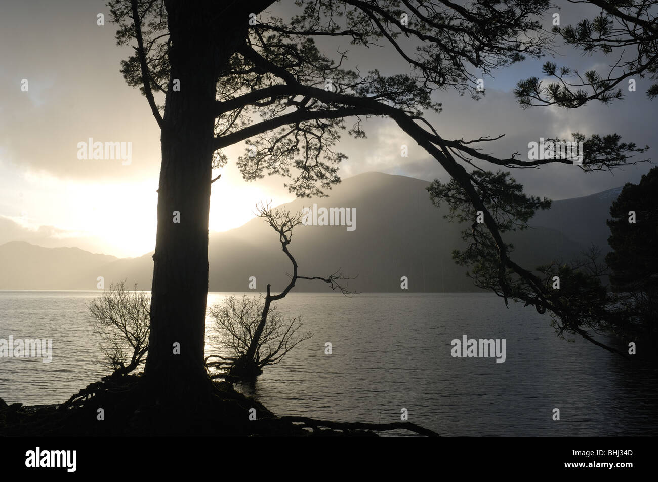Lough Leane, Killarney Stock Photo Alamy