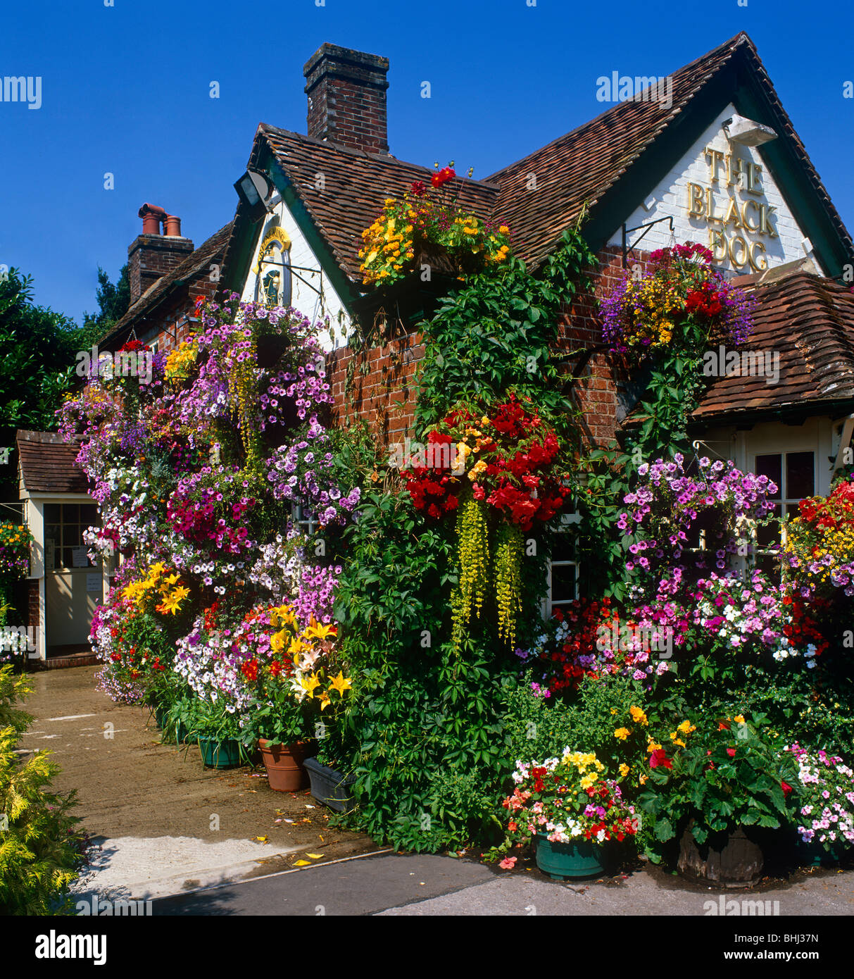 Shedfield hampshire hires stock photography and images Alamy