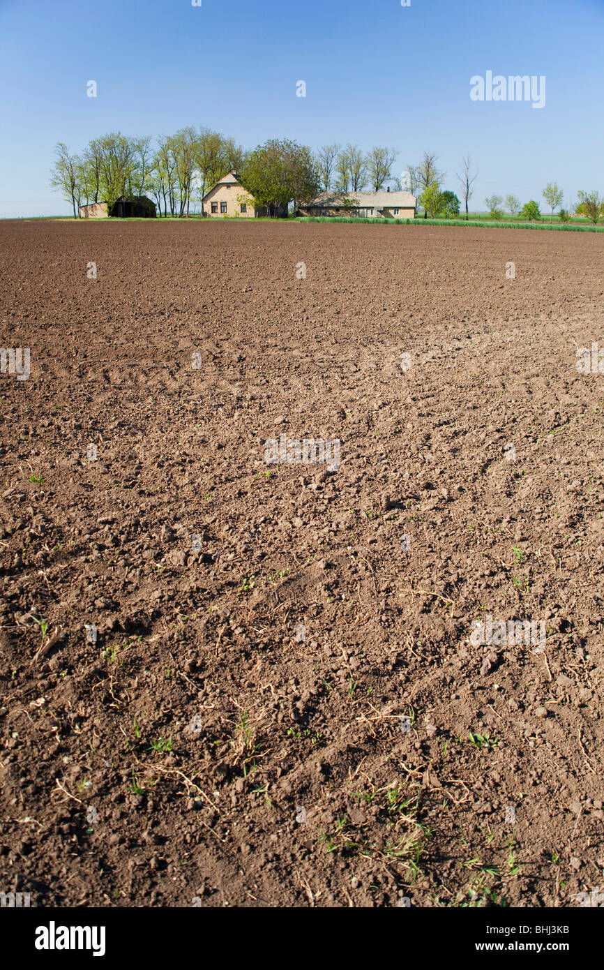 Vojvodina, agricultural field at spring, Serbia Stock Photo