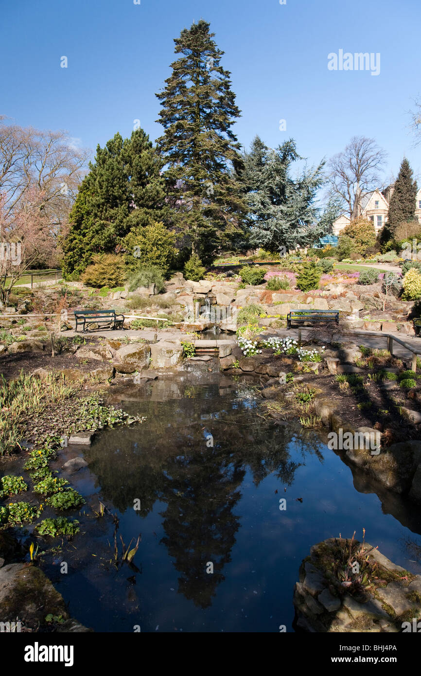 Flowers water gardens rockery hi-res stock photography and images - Alamy