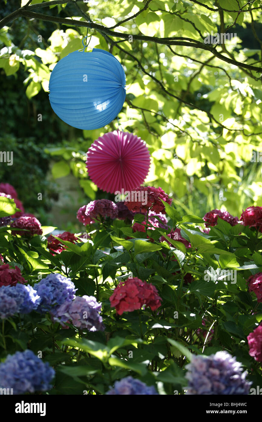 Paper lanterns hanging from a tree Stock Photo Alamy