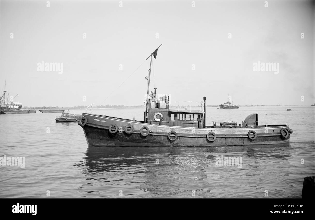 Thames pilot launch, Gravesend, Kent, c1945-c1965. Artist: SW Rawlings Stock Photo