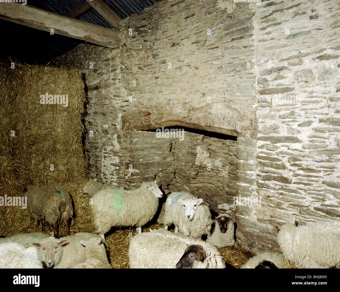 Barn at Kersham Farm, Cutcombe, Somerset, 2000. Artist: EH/RCHME staff photographer Stock Photo