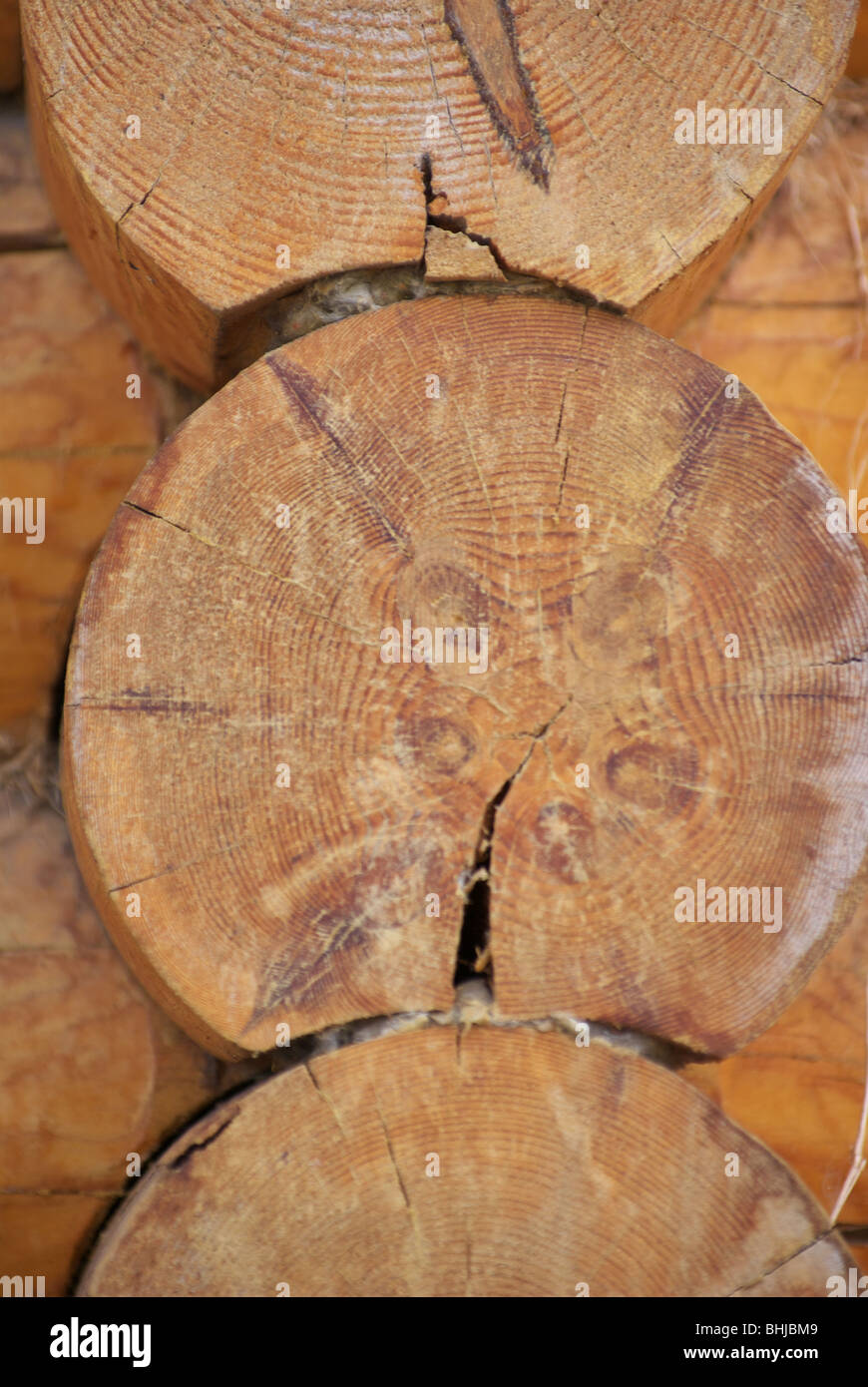 Wooden house detail, make a house without nails Stock Photo Alamy