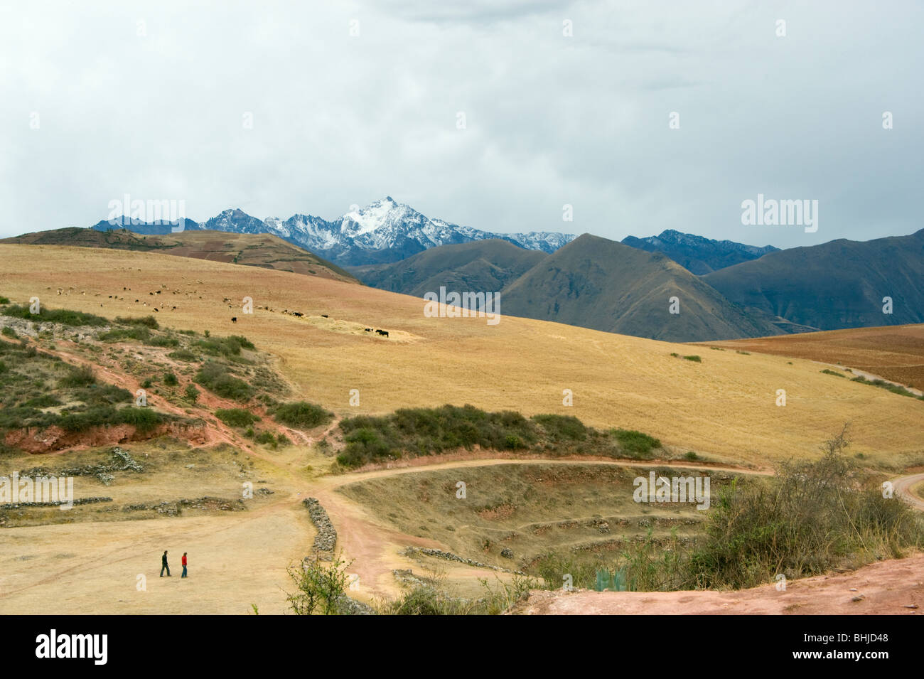 The unrestored agricultural terraces in the smaller amphitheatre like bowl at Moray, near Cuzco, Peru Stock Photo