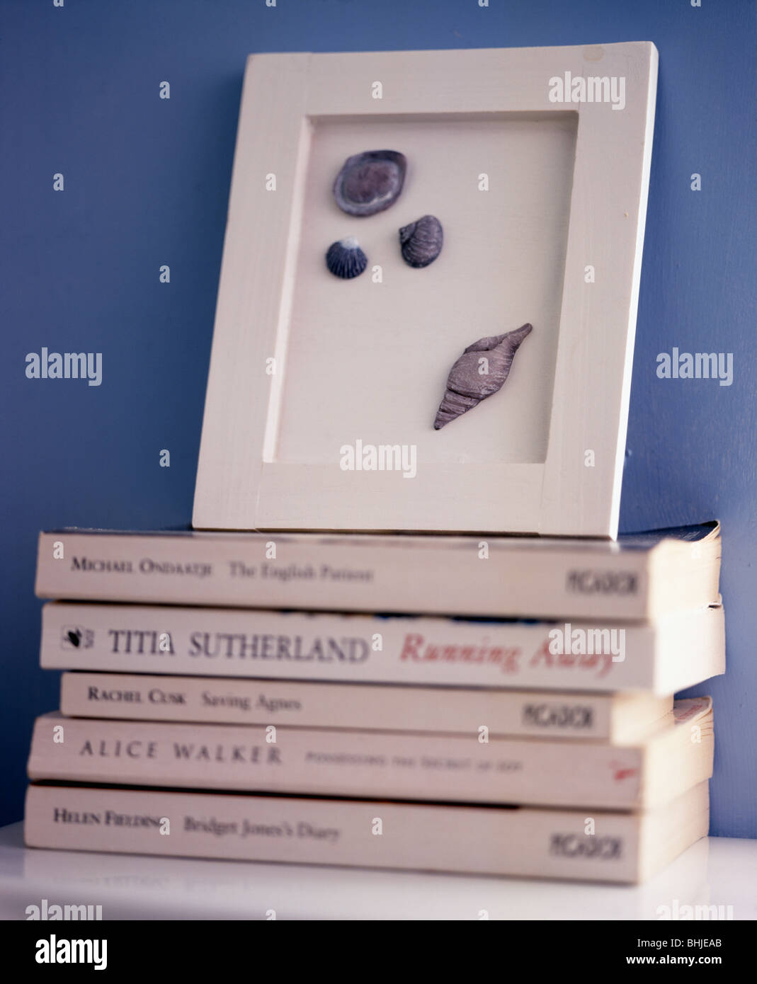 Close-up of framed seashells on pile of paperback books Stock Photo
