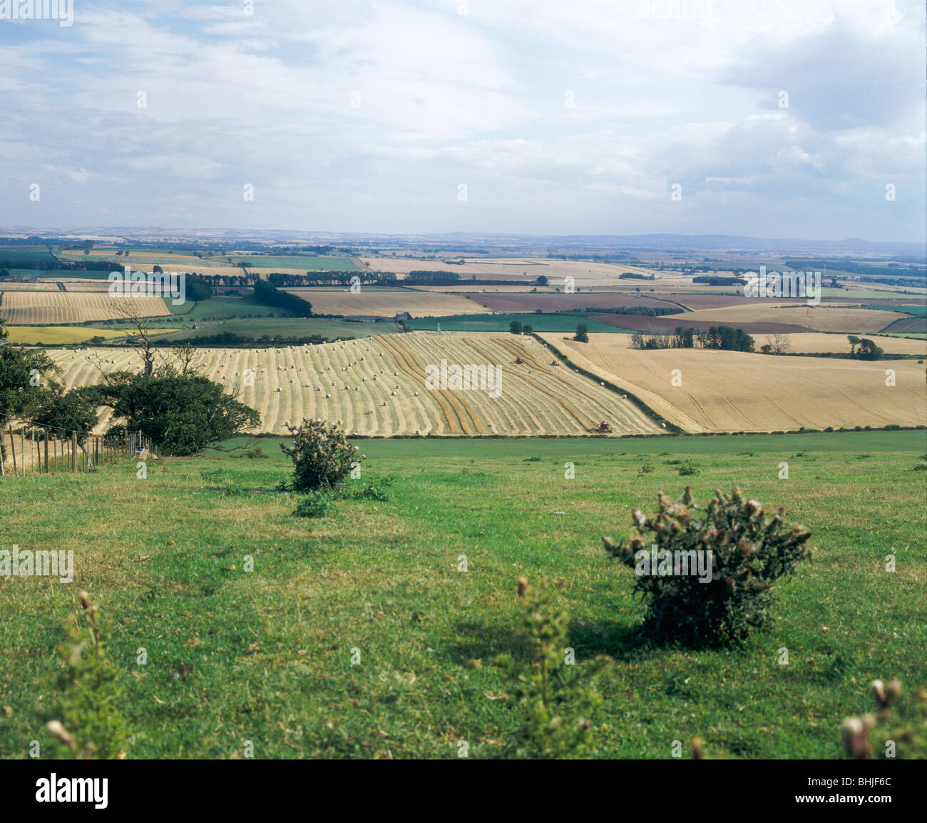 Flodden Field, site of Battle of Flodden 1513, Northumberland, 1994