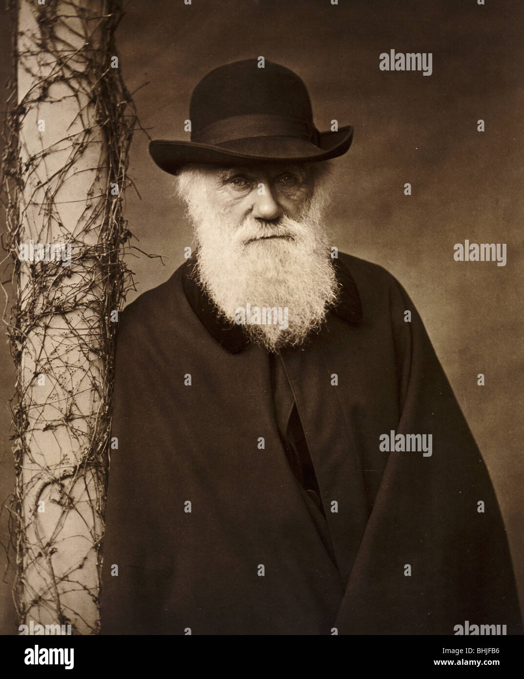 Charles Darwin at his home at Down House, Kent, c1880. Artist: Unknown Stock Photo