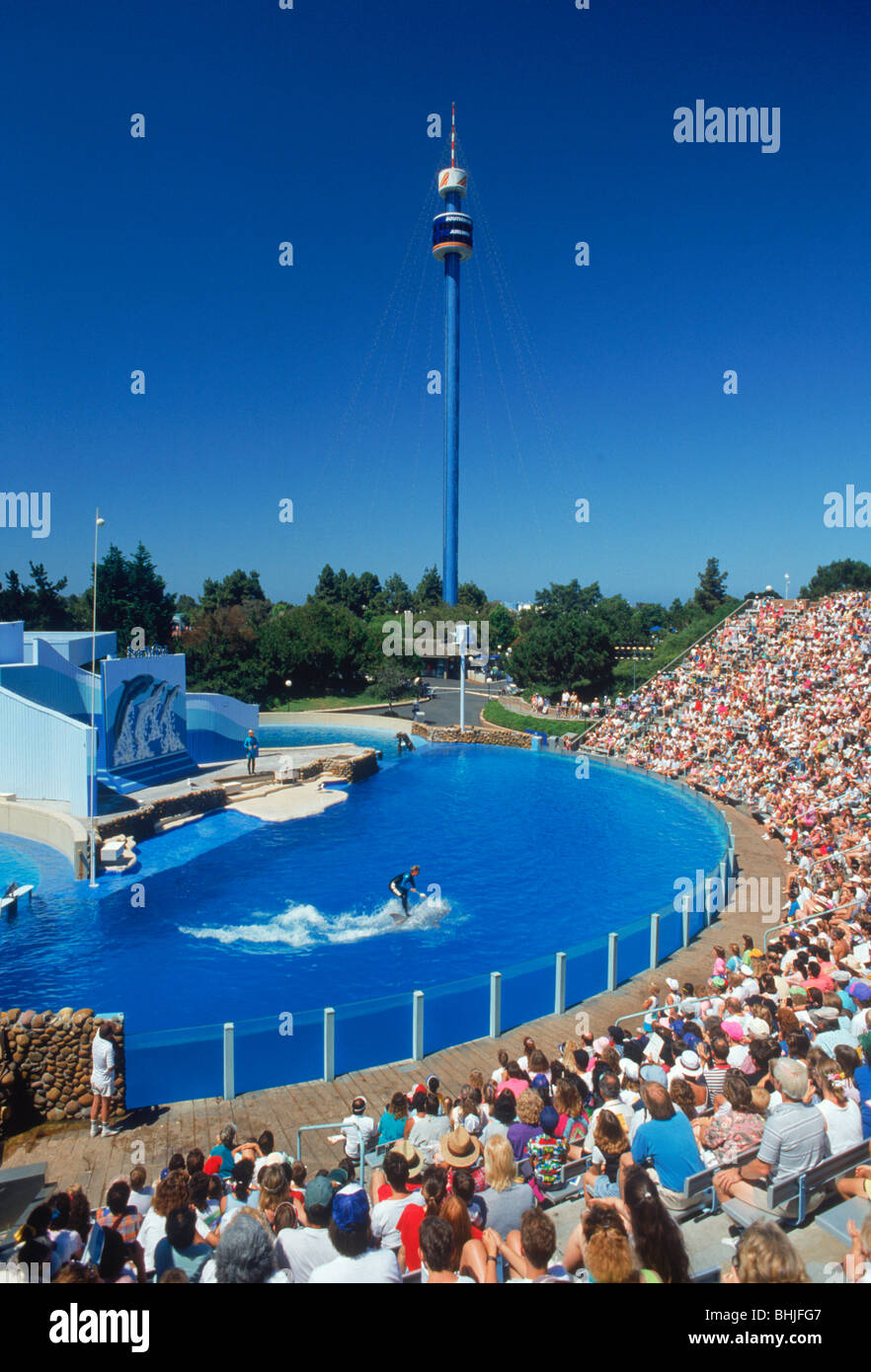 Hundreds of people watching dolphin and whale show in Shamu or Marine Mammal Stadium at Sea World in San Diego California USA Stock Photo