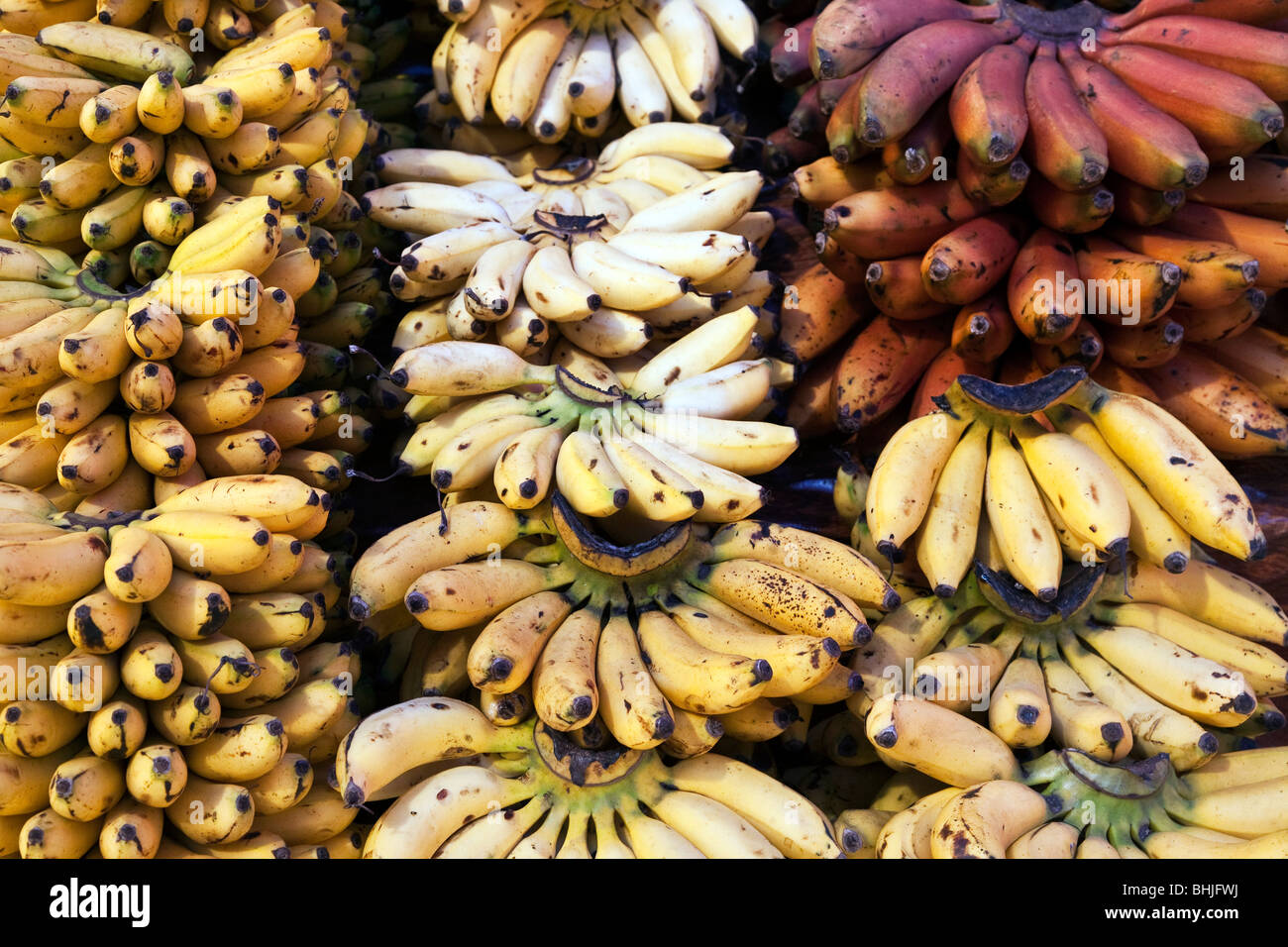 fan shaped bunches of yellow & red bananas symmetrically arranged for