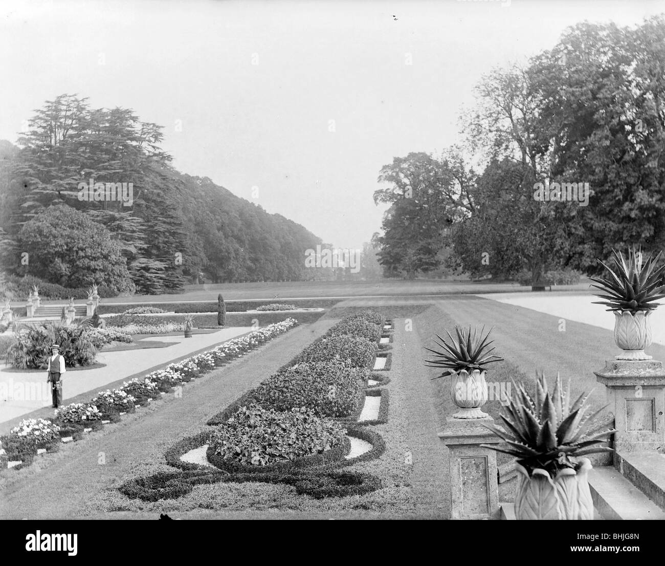 Blenheim palace garden flowers Black and White Stock Photos & Images