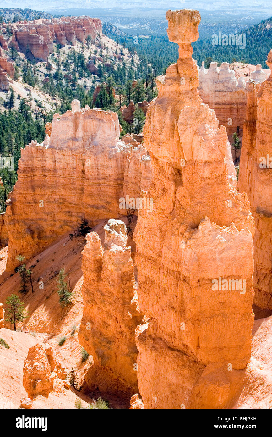 Thor's Hammer in Bryce Canyon, Utah Stock Photo Alamy